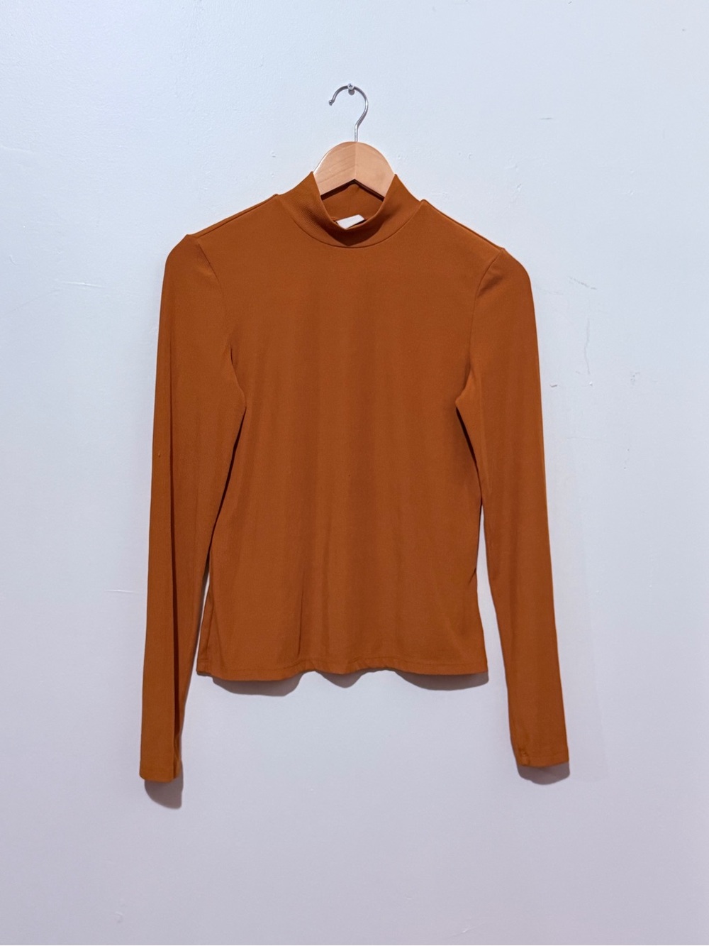H&M Burnt Orange Long-Sleeve Mock Neck Top